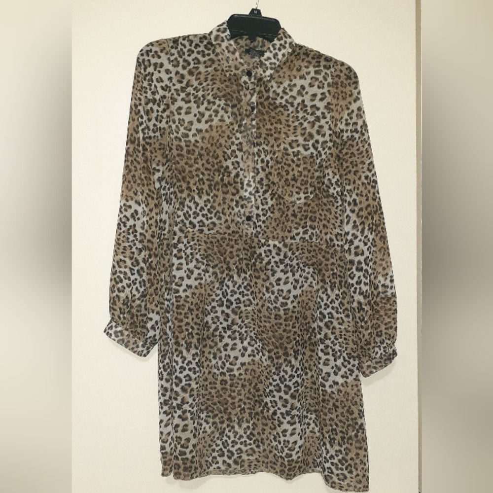 Rue21 Sheer longsleeve dress